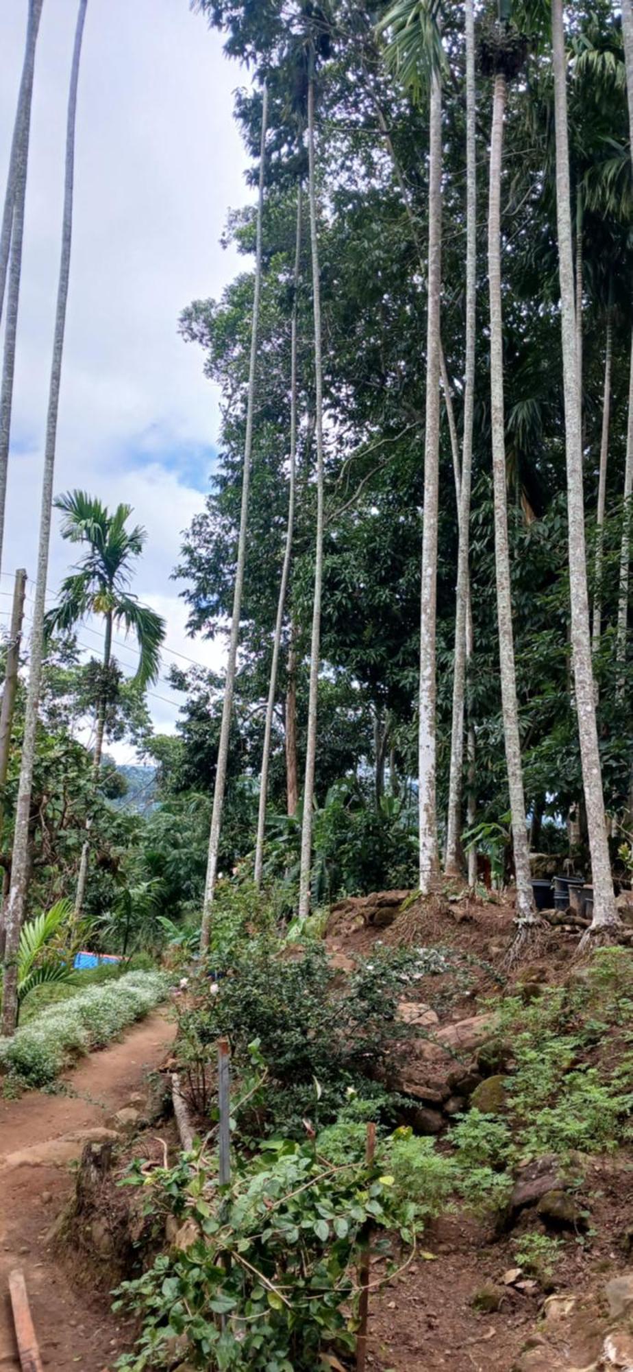 Rawana Rock Road Home Ella Luaran gambar