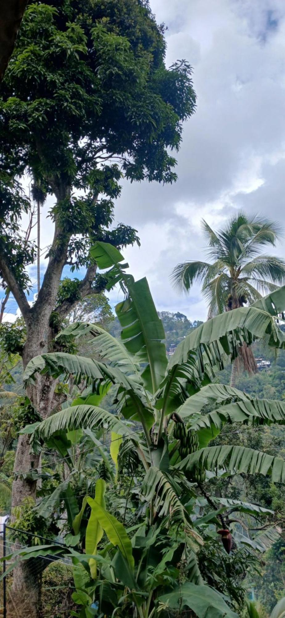 Rawana Rock Road Home Ella Luaran gambar